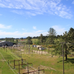 view of field with trees from powerline