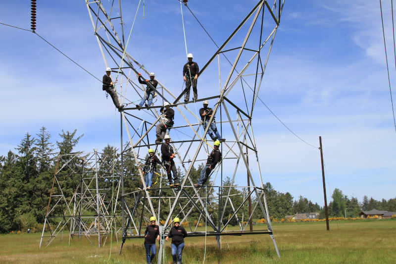 group of people climbing powerline