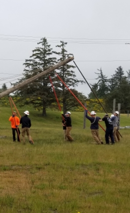 people near down powerline